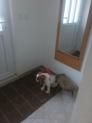 Holiday Home Gandalj_2 Локва-Рогозниця Екстер'єр фото